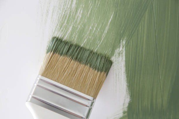 Best Mold Remediation for Vacation Homes  in Rodeo, CA