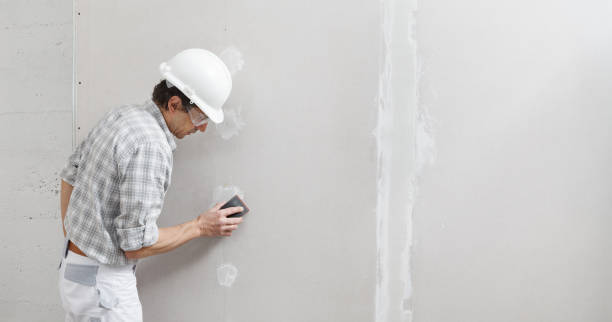 Best Comprehensive Air Testing for Mold Contaminants  in Rodeo, CA