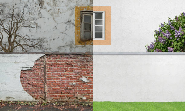 Reliable Rodeo, CA Mold Removal Solutions